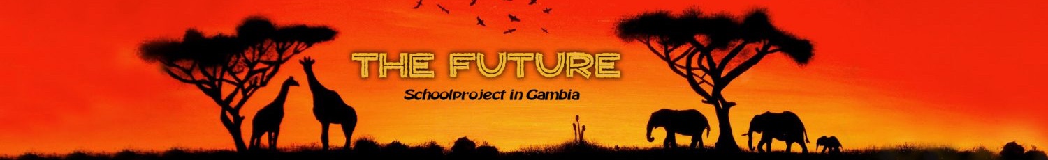 Stichting The Future Gambia